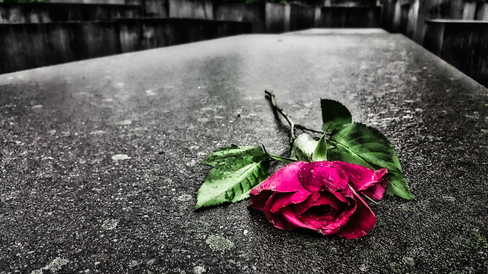 Platz 5 Harald Unglert